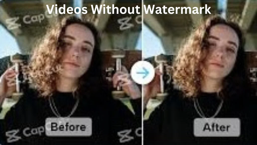 Video without watermark